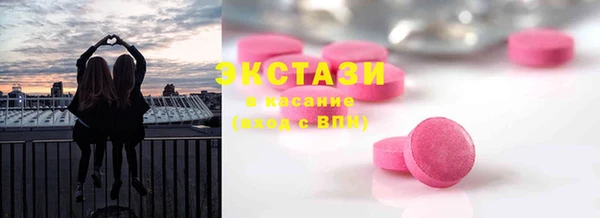 spice Богородицк